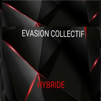 Hybride by Evasion collectif