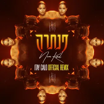 פנתרה (Itay Galo Official Remix) by Itay Galo