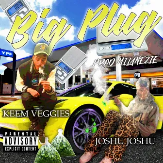 Big Plug by Keem Veggies