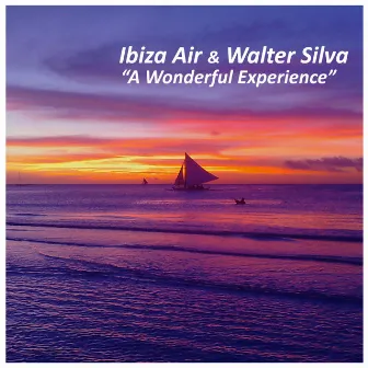 A Wonderful Experience by Walter Silva