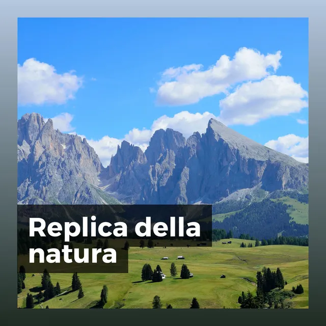 Replica della natura