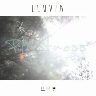 Flightness by lluvia