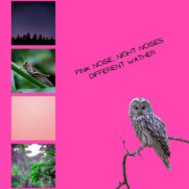 (Loopable) Happy Birdsong, Pink Noise