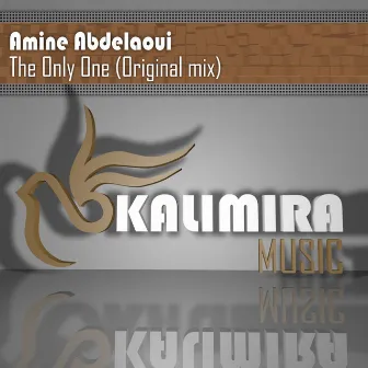 The Only One by Amine Abdelaoui