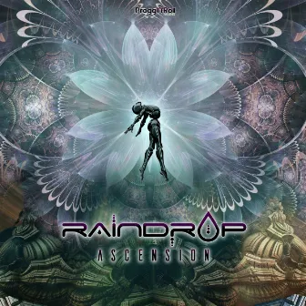 Ascension by Raindrop