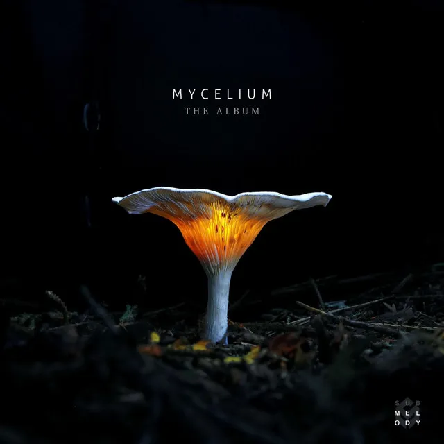 Mycelium