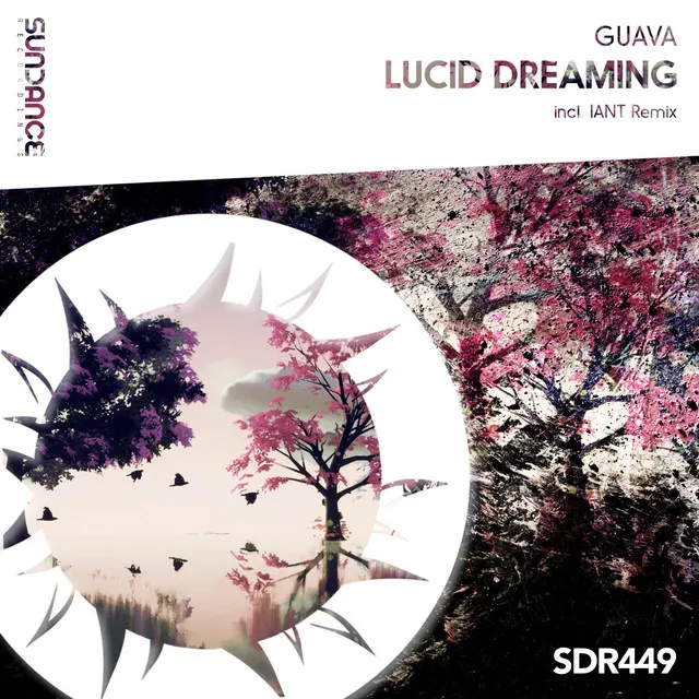 Lucid Dreaming