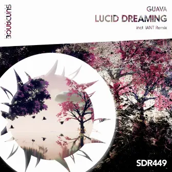 Lucid Dreaming by Guava