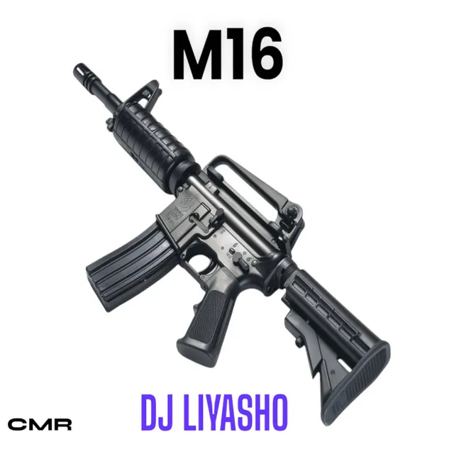 M16