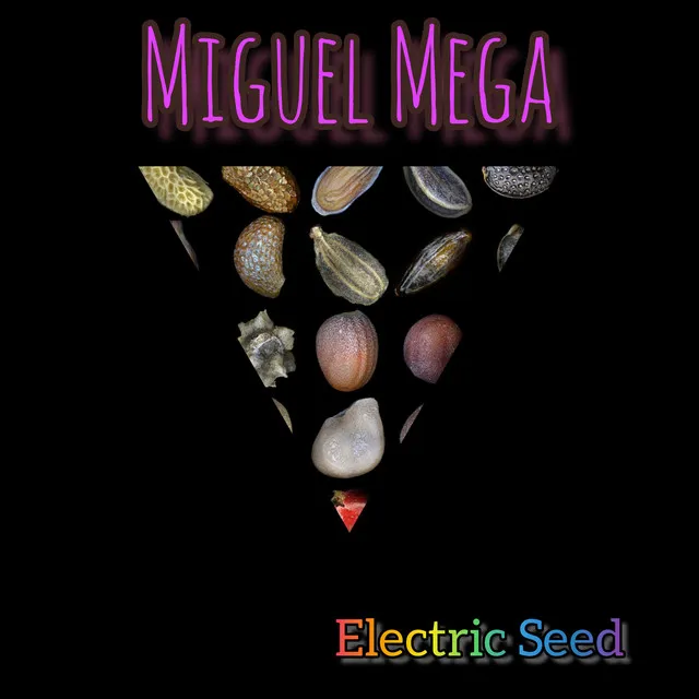 Electric Seed