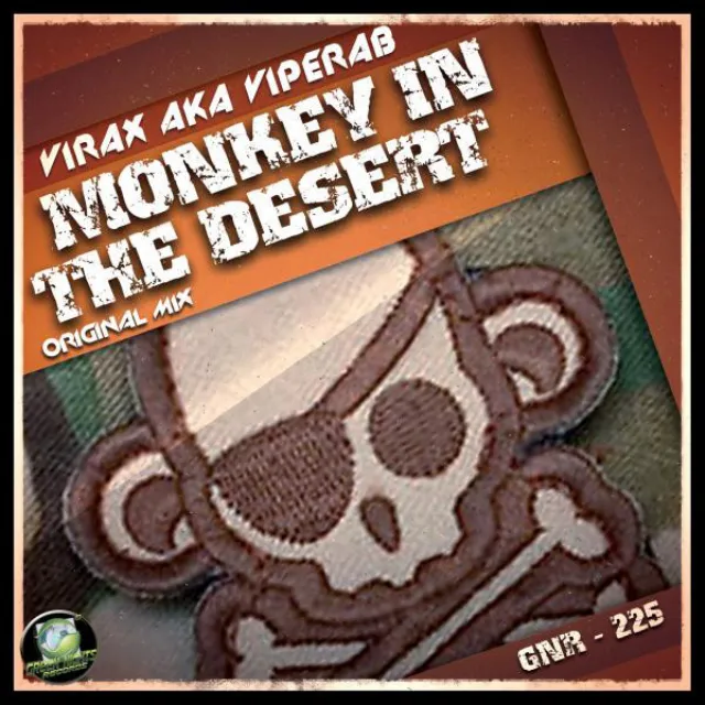 Monkey in the Desert