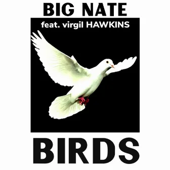 Birds by Big Nate