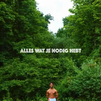 Alles Wat Je Nodig Hebt by Unknown Artist