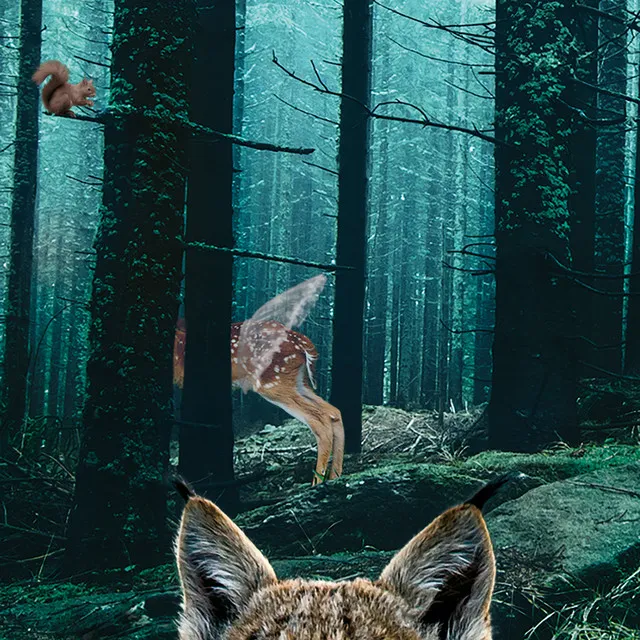 The Lynx, The Fawn, The Squirrel