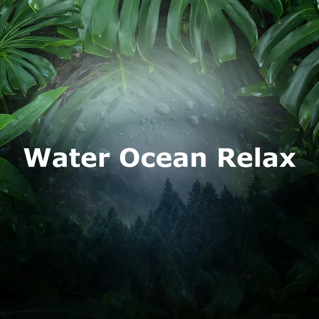 Water Ocean Relax