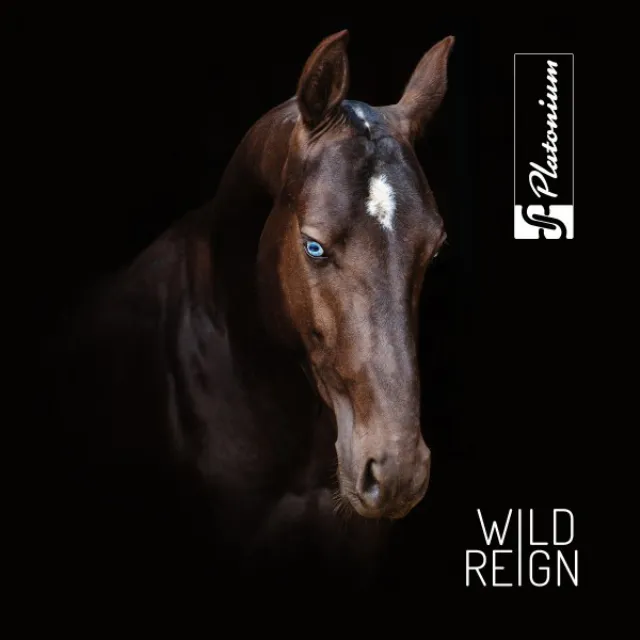 Wild Reign