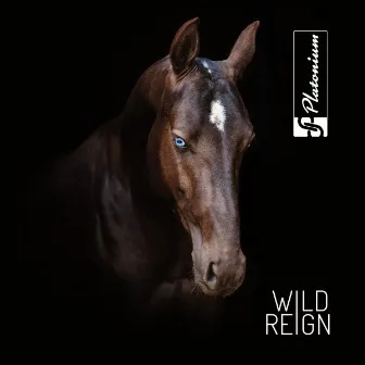 Wild Reign by Platonium