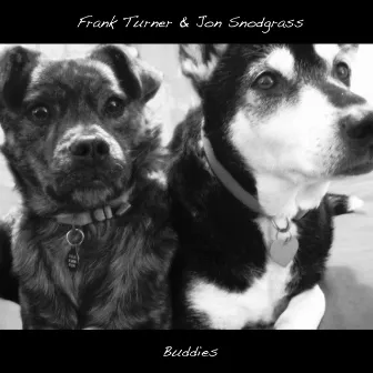 Buddies by Jon Snodgrass