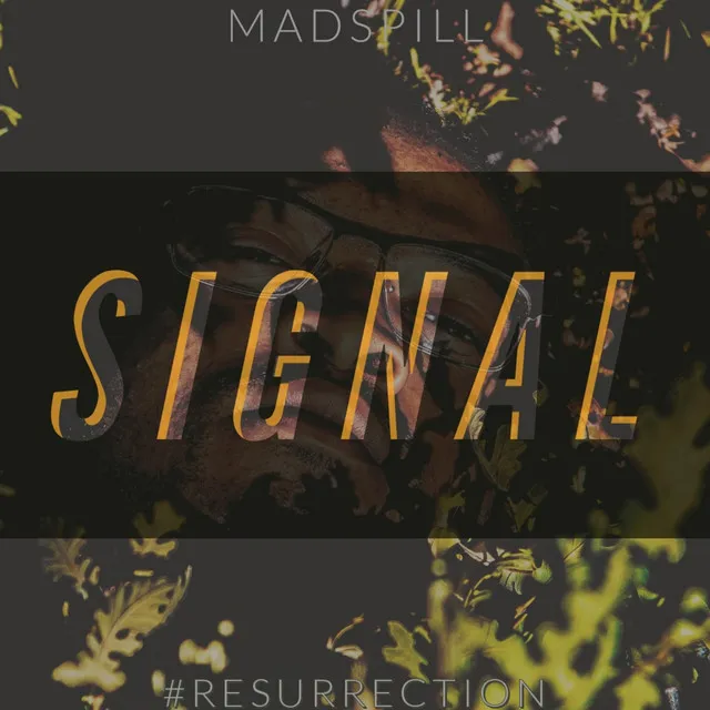 Signal