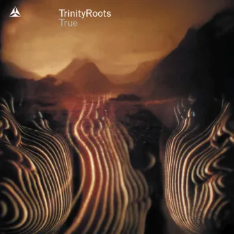 True by TrinityRoots