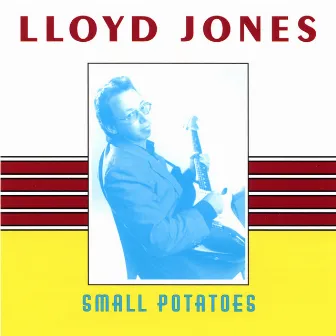 Small Potatoes by Lloyd Jones