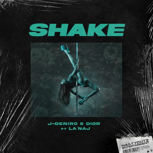 Shake - Radio Edit