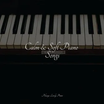 Calm & Soft Piano Songs by Piano Relaxation Maestro