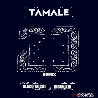 Tamale 23 (Remix) by RICCH KID