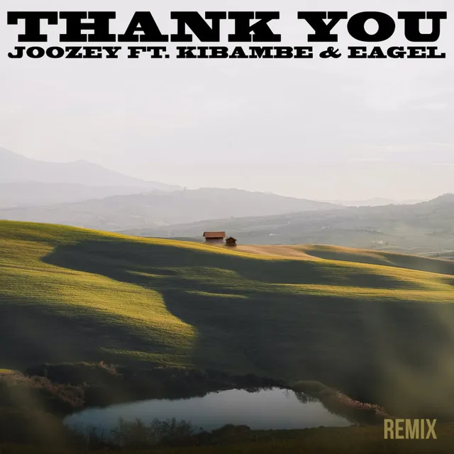 Thank You - Remix