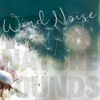 Wind Noise Vol. 1 by 101 Nature Sounds