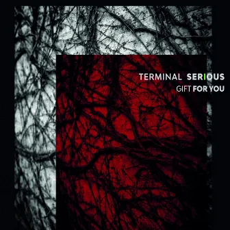 Gift For You by Terminal Serious