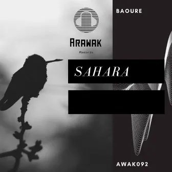 Sahara by BAOURE