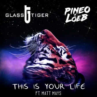 This Is Your Life by PINEO & LOEB