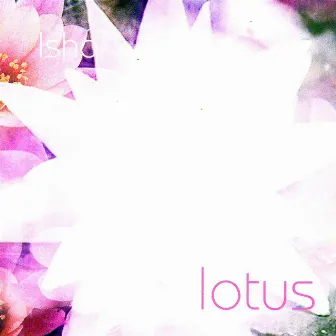 Lotus (Various Singles 2001 - 2006) by Ishq