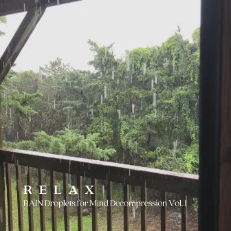 Relax: Rain Droplets for Mind Decompression Vol. 1 by NatuREM