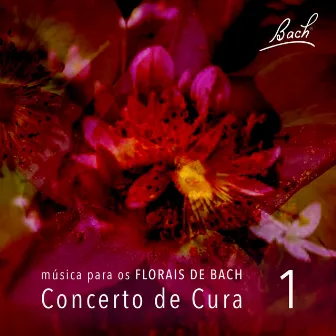 Música para os Florais de Bach, Vol. 1 by Concerto de Cura