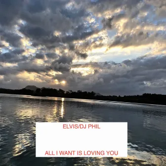 All I Want Is Loving You by DJ Phil