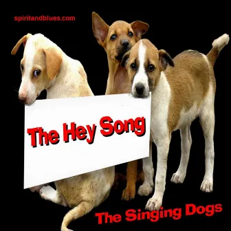 The Hey Song - Single by The Singing Dogs