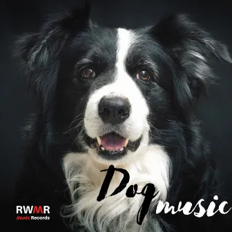 Dog Music – Calming Melodies for Puppies, Deep Relaxation, Piano Music, Anti Stress Songs, Sleep Therapy by RW Anti Anxiety Music for Pets