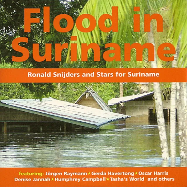 Flood In Suriname