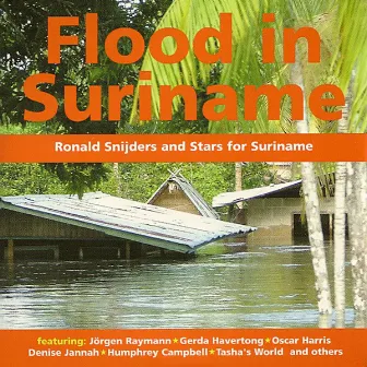 Flood In Suriname by Ronald Snijders