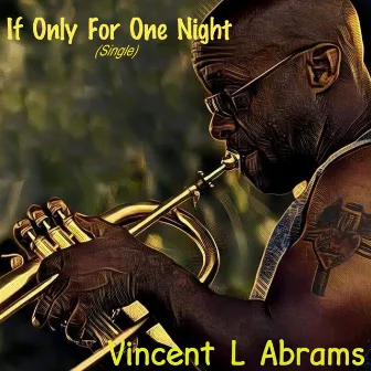 If Only for One Night by Vincent L Abrams