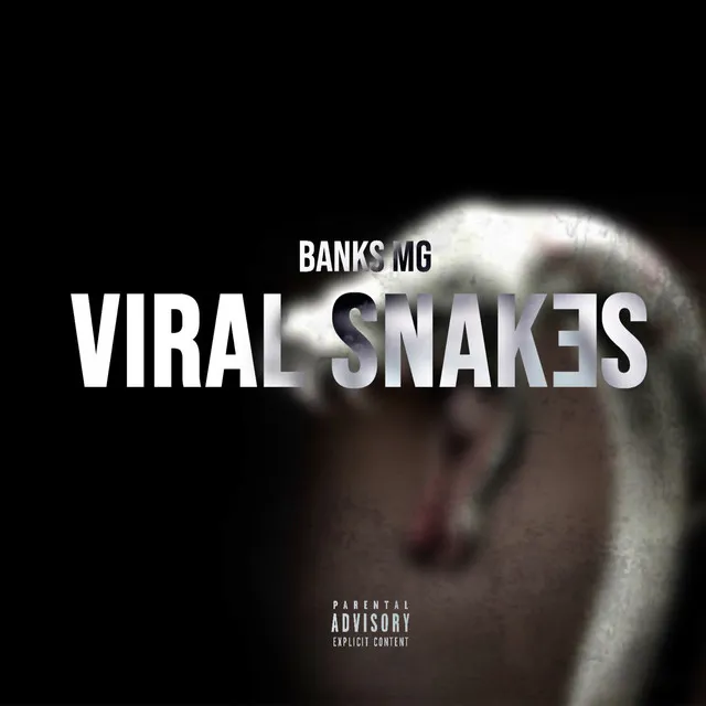 Viral Snakes