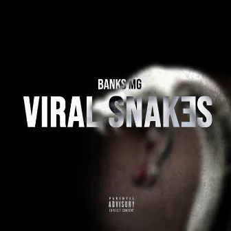 Viral Snakes by Banks Mg