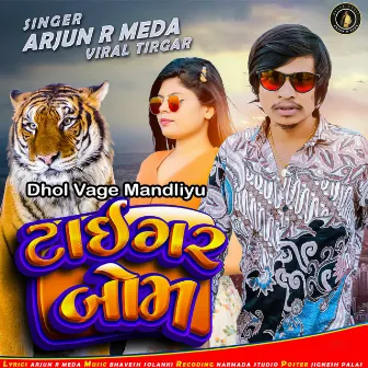 Dhol Vage Mandliyu - Tiger Bom by Unknown Artist