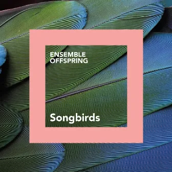 Songbirds by Ensemble Offspring