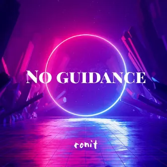 No Guidance by ronit