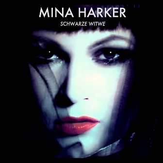 Schwarze Witwe by Mina Harker