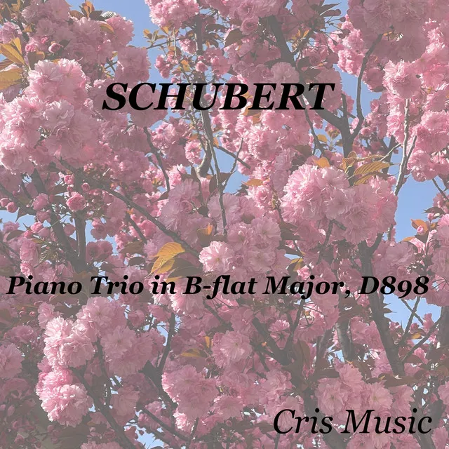 Schubert: Piano Trio in B-flat Major, D.898