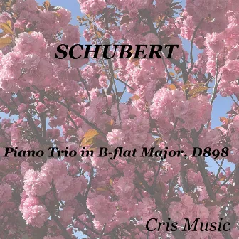 Schubert: Piano Trio in B-flat Major, D.898 by Felix Salmond